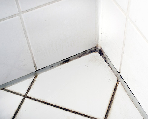 These Types of Stains Can Also Come from Water Seeping through Tiles