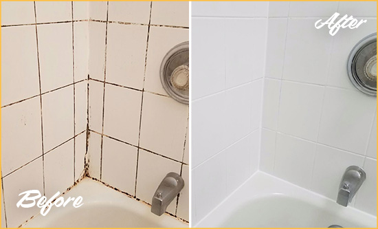 Before and After Picture of a Nokomis Shower Tile and Grout Cleaned to Eliminate Mold