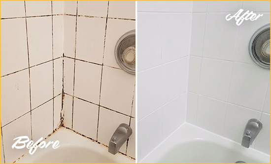 Before and After Picture of a Parrish Shower Tile and Grout Cleaned to Eliminate Mold