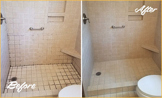 Before and After Picture of a Venice Shower Grout Cleaned to Remove Mold