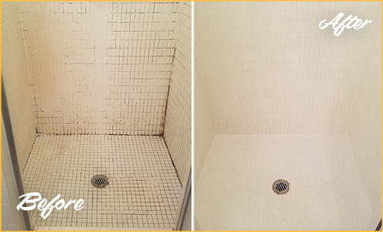 Before and After Picture of a Palmetto Bathroom Grout Sealed to Remove Mold