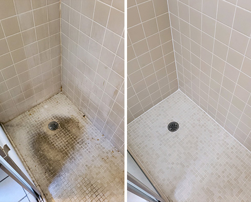 Shower Before and After a Tile Cleaning in Sarasota, FL