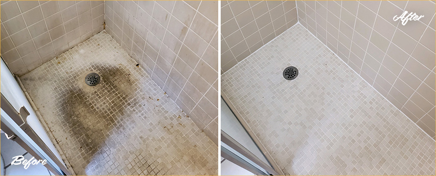 Shower Before and After a Superb Tile Cleaning in Sarasota, FL