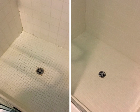 Tile Shower Before and After a Grout Cleaning in Sarasota