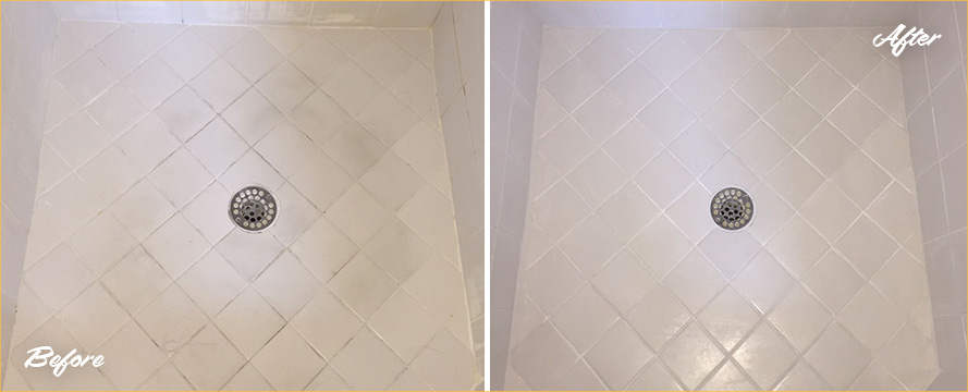 Shower Before and After a Superb Grout Cleaning in Bradenton, FL 