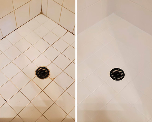 Shower Before and After a Grout Cleaning in Ellenton, FL